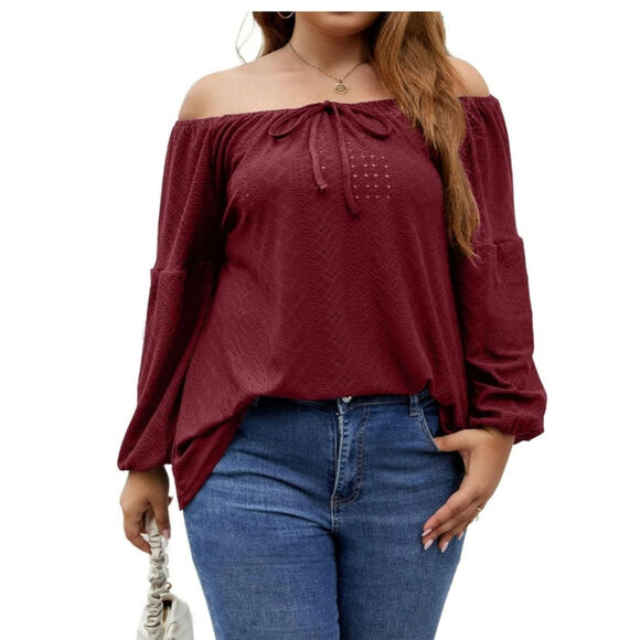 Amazon Tops - Plus Size Tops Women SZ 3X Long Puff Sleeve Embroidery Peplum Casual Blouse